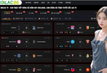 The Global Impact Of Digital Media On Football Passion Quality Standards For Online Viewing